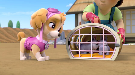 Watch PAW Patrol | Netflix