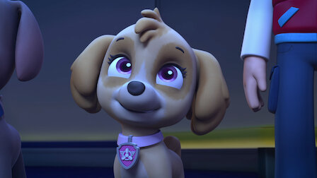 Watch PAW Patrol | Netflix